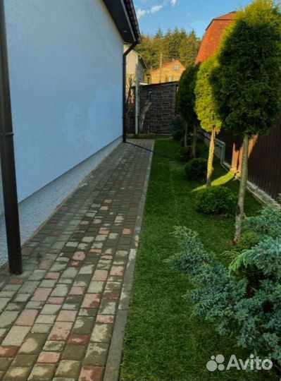 Рулонный газон