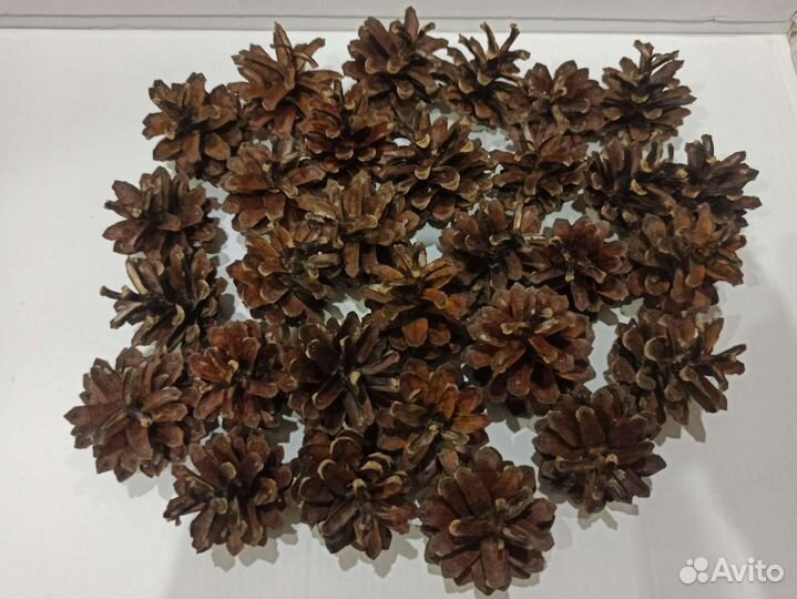 Набор для творчества