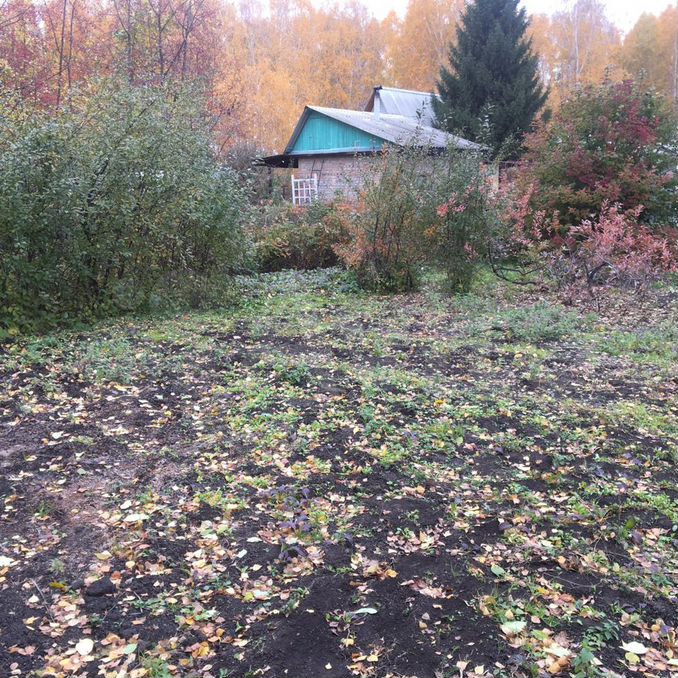 Омск дачи в октябрьском районе