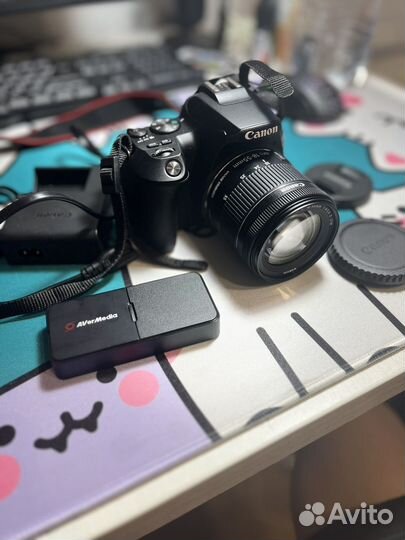 Зеркальный фотоаппарат Canon EOS 250d