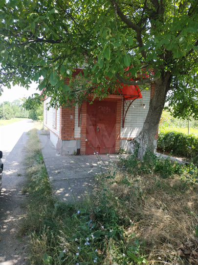 Торговая площадь, 48 м²