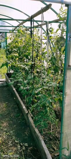 Дом 30 м² на участке 11 сот.