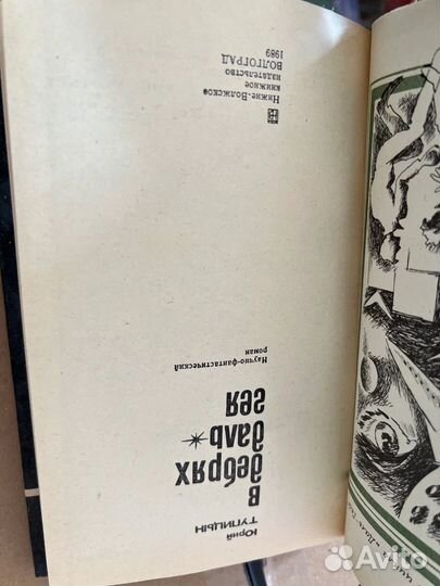 В дебрях дальгея. Ю. Тупицын, 1989