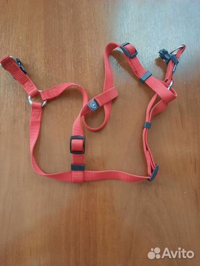 Амуниция для собак