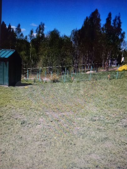 Участок 16 сот. (СНТ, ДНП)