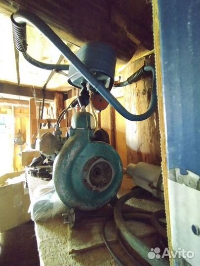 Бензопила дружба