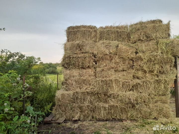 Продам сено в тюках