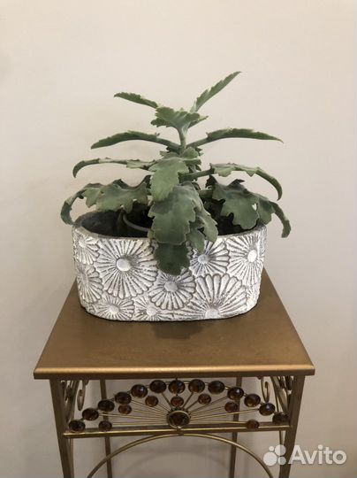Кашпо дизайнерское