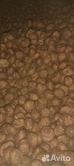 Сухой корм для собак