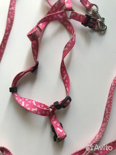 Шлейка для кошки
