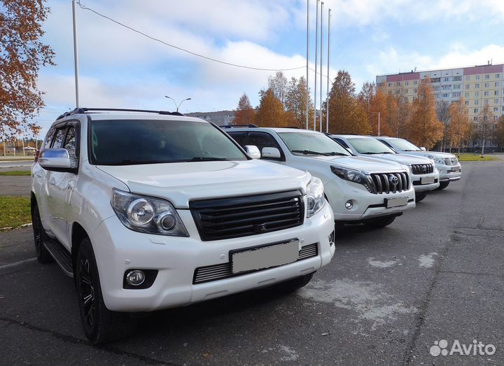 Перевозка домашних животных / больших собак/ зоота