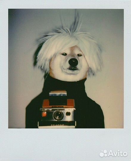 Набор Polaroid 636 с кассетой Color 600 Film