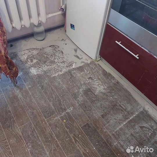 Клининг уборка квартир мытье окон химчистка