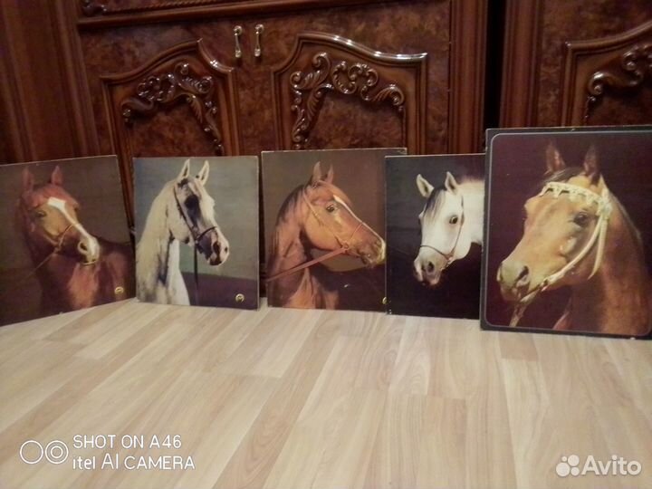 Репродукции лошадей