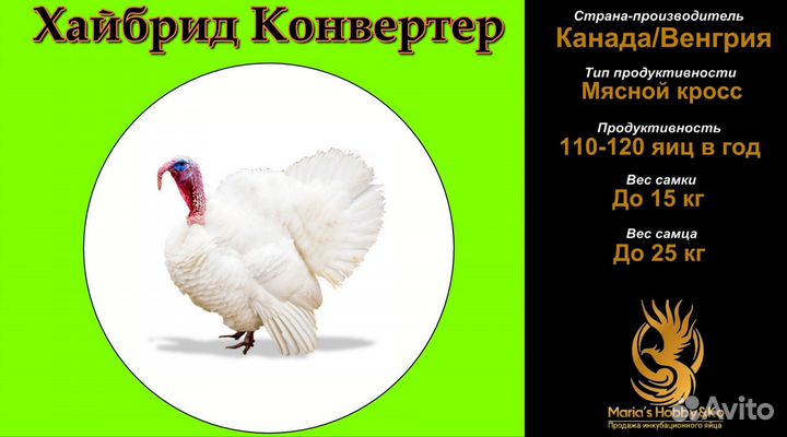 Индюшата хайбрид конвертер