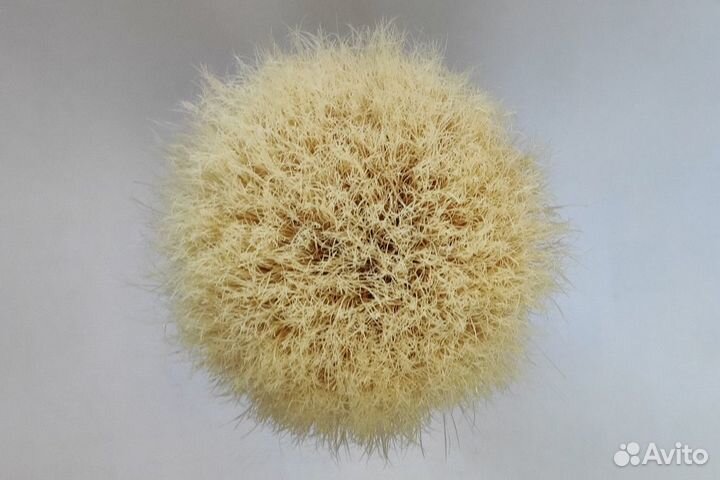 Помазок кабан Semogue, Omega