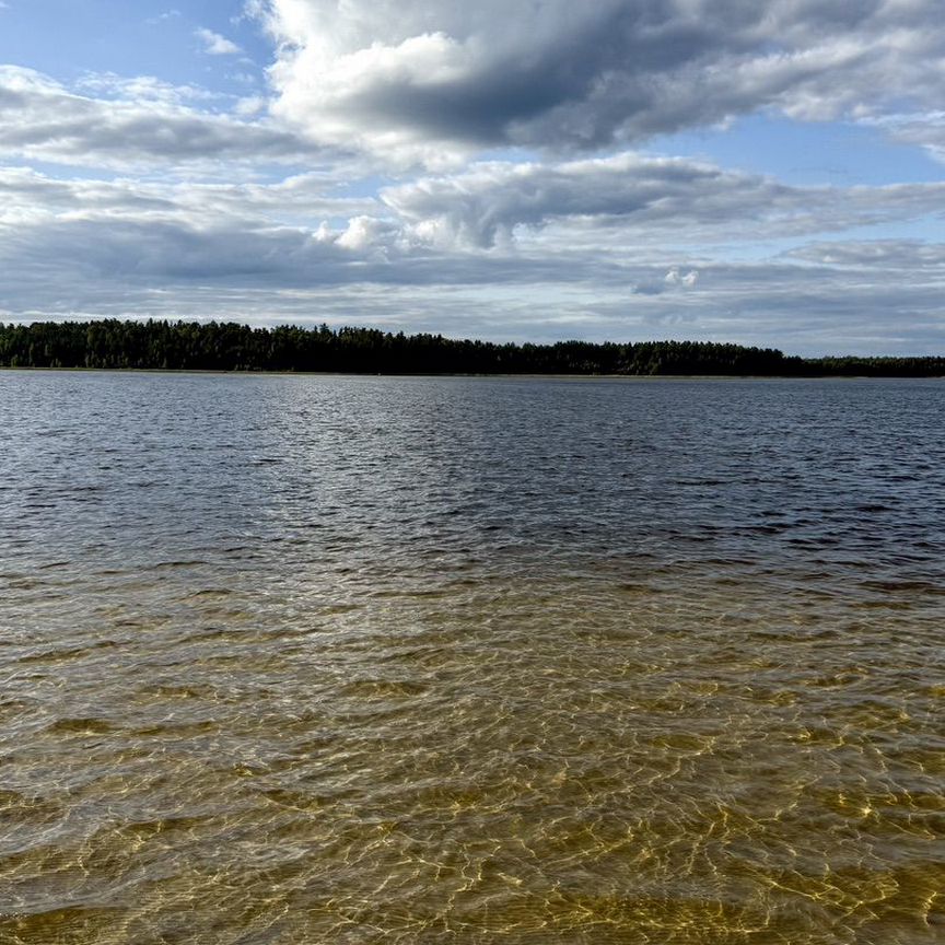 Квартира 1-комн. 33.1 м² в Талицы — фото 17 из 17