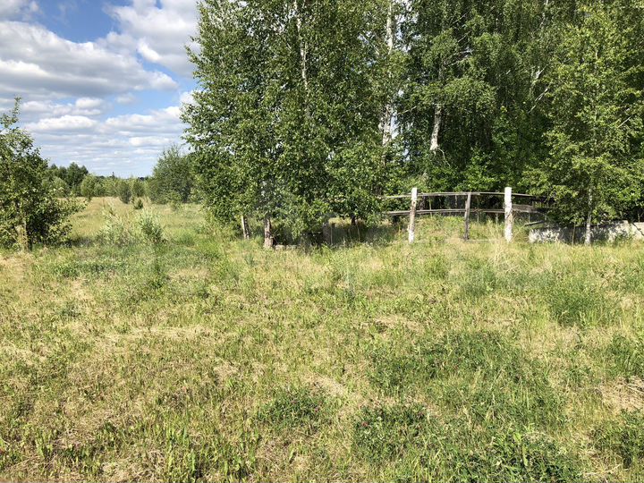 Участок 6 га (СНТ, ДНП)