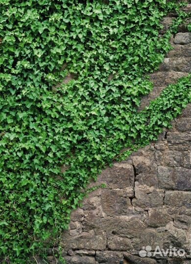 Фотообои 3d 272х260