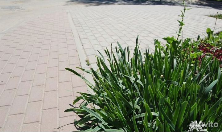 Тротуарная плитка