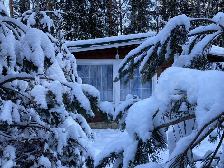 Дом 42 м² на участке 3 га