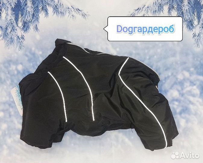 Зимний комбинезон для мопсов