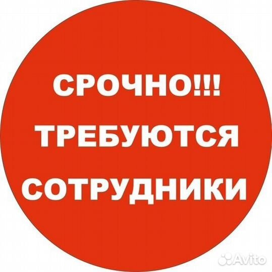 Дневная подработка с ежедневными выплатами