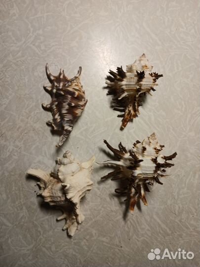 Аквариумные украшения