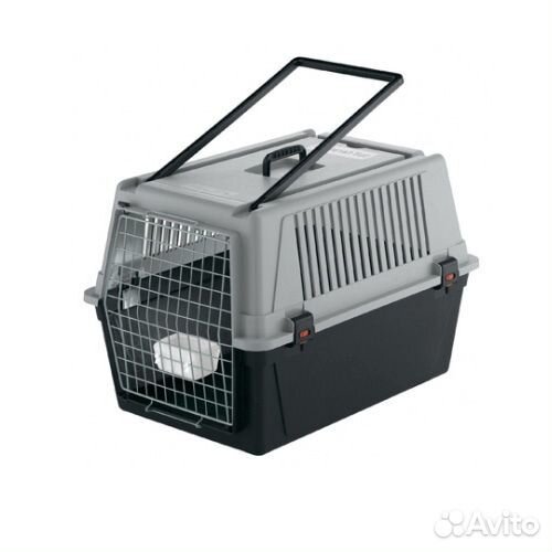 Аренда переноска для собаки