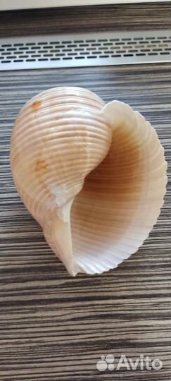 Декорации для аквариума