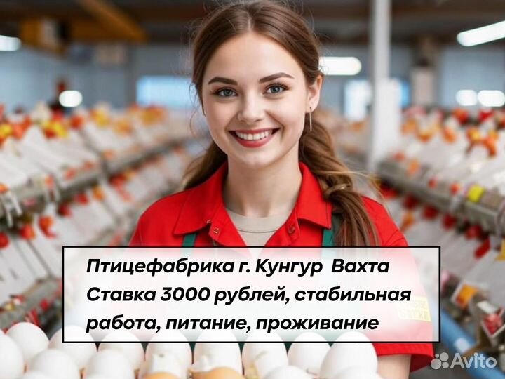 Сортировщик/Птицефабрика/г. Кунгур