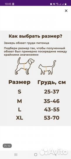 Шлейка для кошек и собак