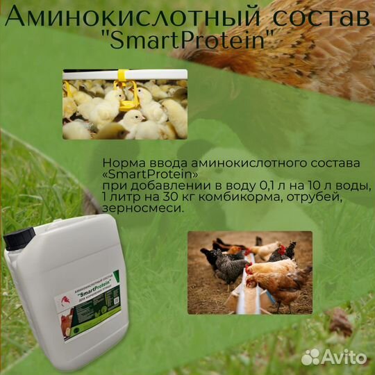 Добавка для кормления птиц