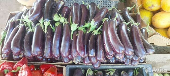 Овощи, помидоры, арбузы, дыни