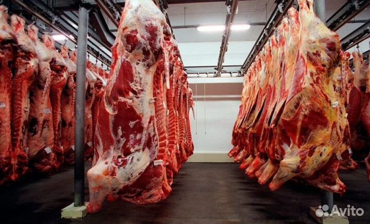 Разнорабочие на мясокомбинат (вахта)