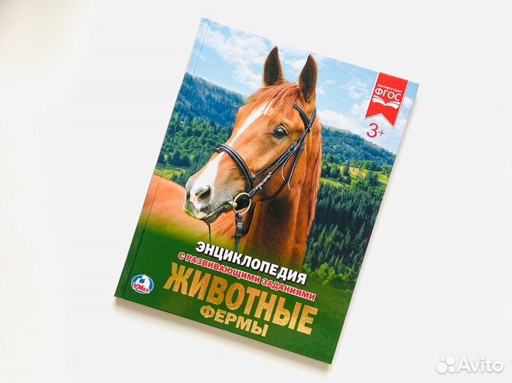 Детские энциклопедии и книги Умка. Новые