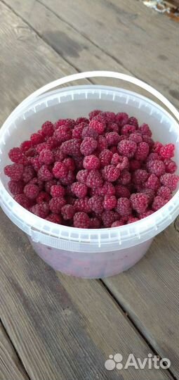 Малина свежая