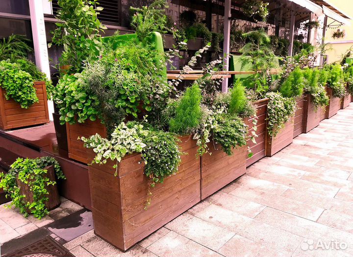 Искусственное озеленение входных групп и веранд