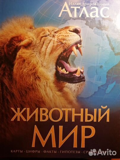 Энциклопедии издательства Махаон