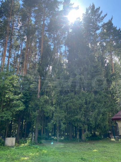 Участок 6 сот. (СНТ, ДНП)