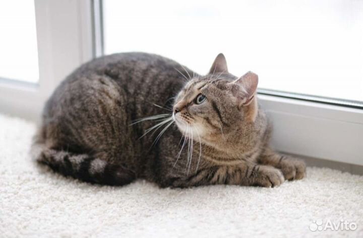 Зимняя сказка