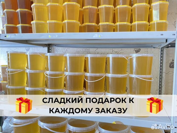 Мед натуральный со своей пасеки