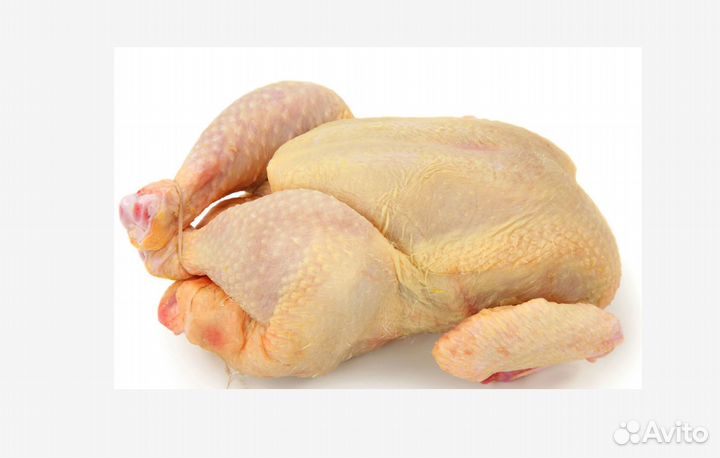 Фермерская тушка кура из Осетии 2.5 кг