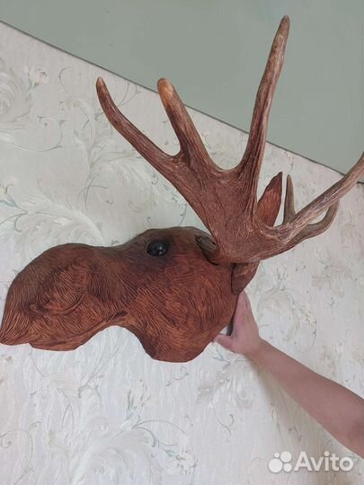 Рога лося