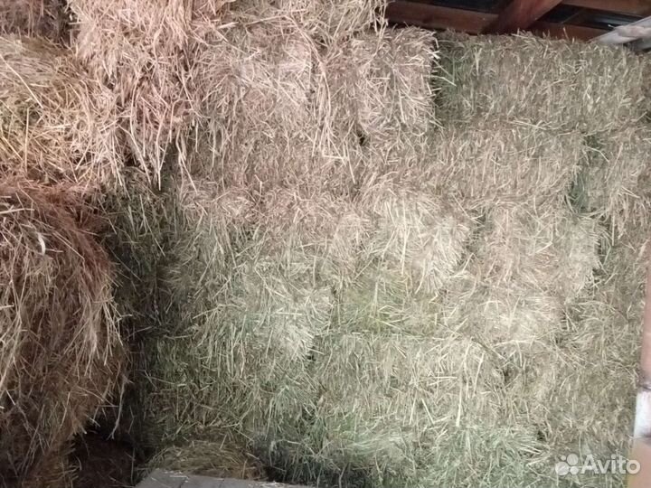 Сено в рулонах