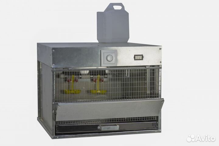 Брудер для цыплят