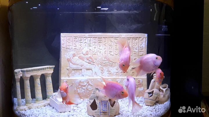 Декор в аквариум египетская плита