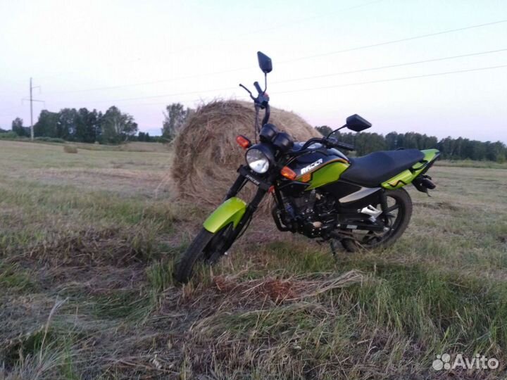 Рейсер тигр