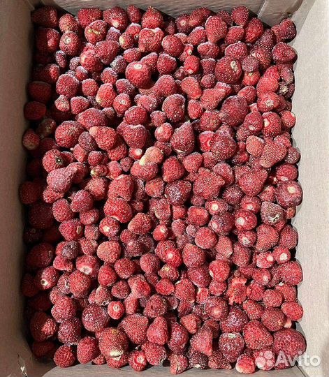 Оптом сладкая малина, клубника с Кыргызстана