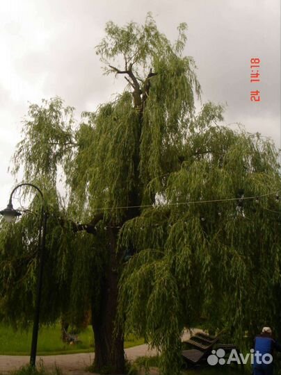 Sony cyber shot dsc t7